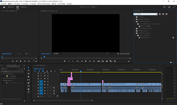 Adobe Premiere Pro