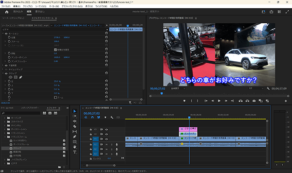 Adobe Premiere Pro